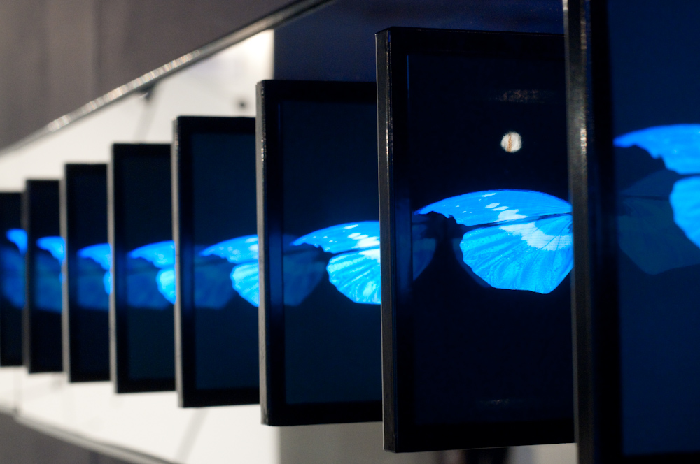 Audio Visual Rental Display at Kinetica Art Fair